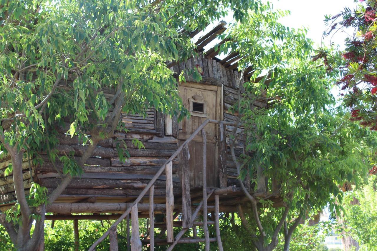 Agriturismo Ruralia Santa Domenica  Kültér fotó